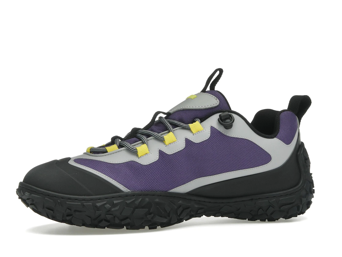 Vue 17 de Dior Diorizon Hiking Purple