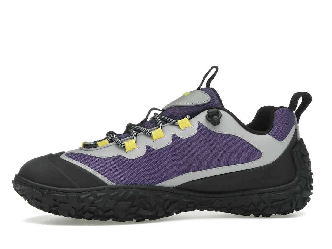 Vue 18 de Dior Diorizon Hiking Purple