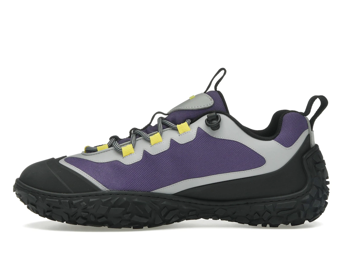 Vue 19 de Dior Diorizon Hiking Purple