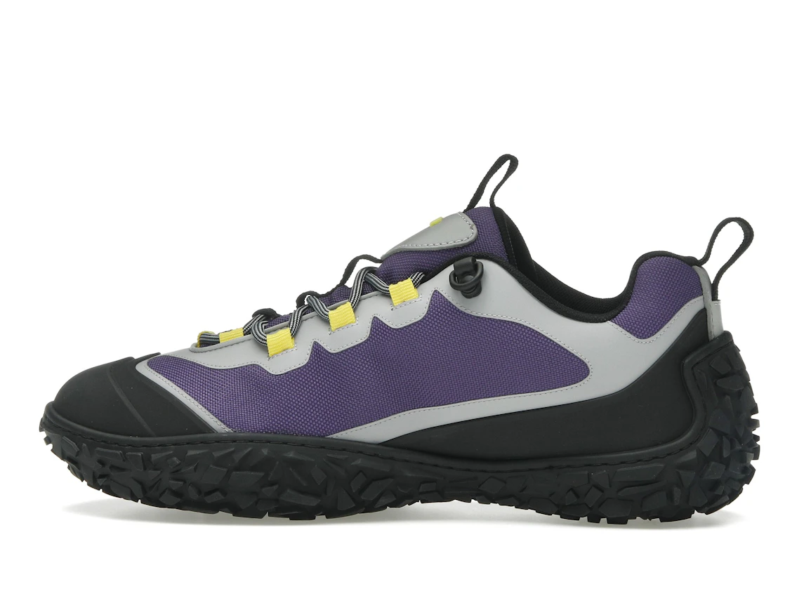 Vue 20 de Dior Diorizon Hiking Purple