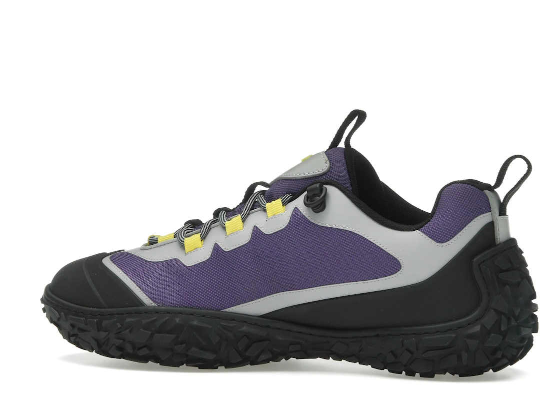 Vue 21 de Dior Diorizon Hiking Purple