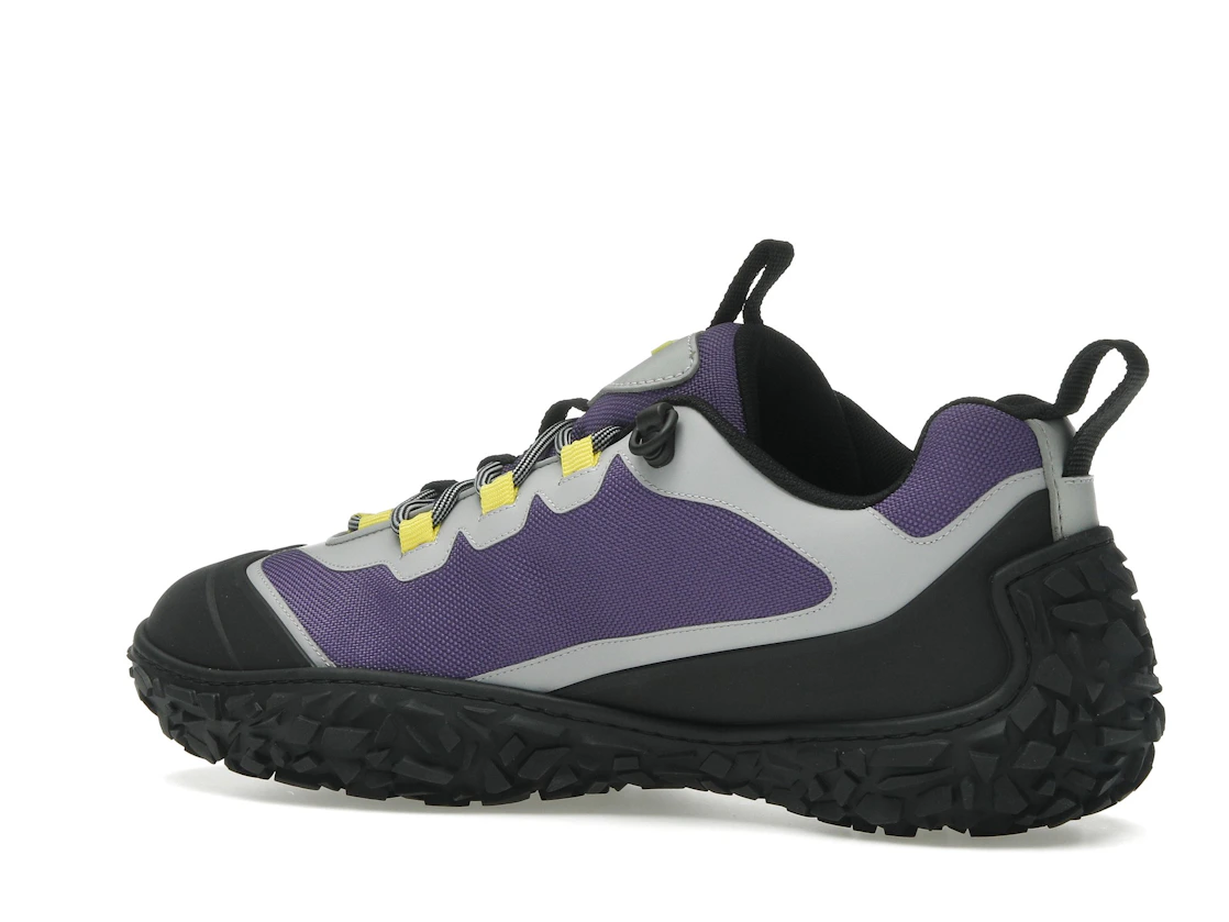 Vue 22 de Dior Diorizon Hiking Purple