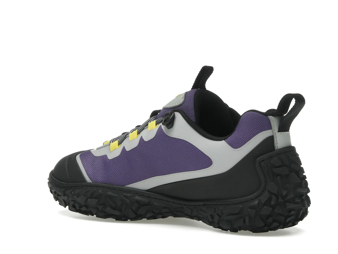 Vue 23 de Dior Diorizon Hiking Purple