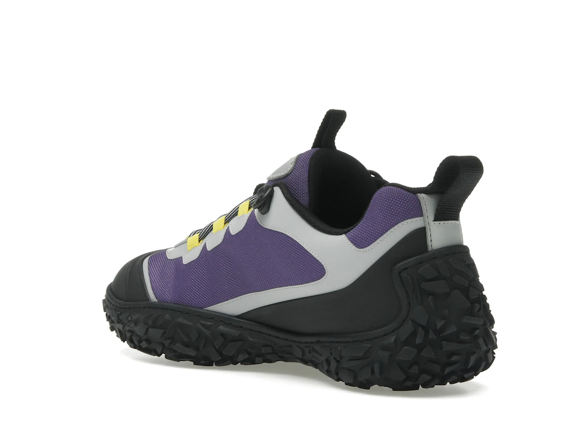 Vue 24 de Dior Diorizon Hiking Purple