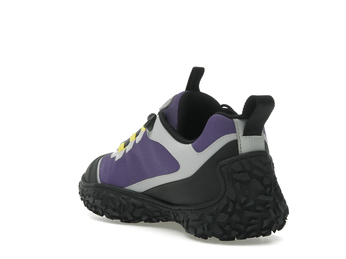 Vue 25 de Dior Diorizon Hiking Purple