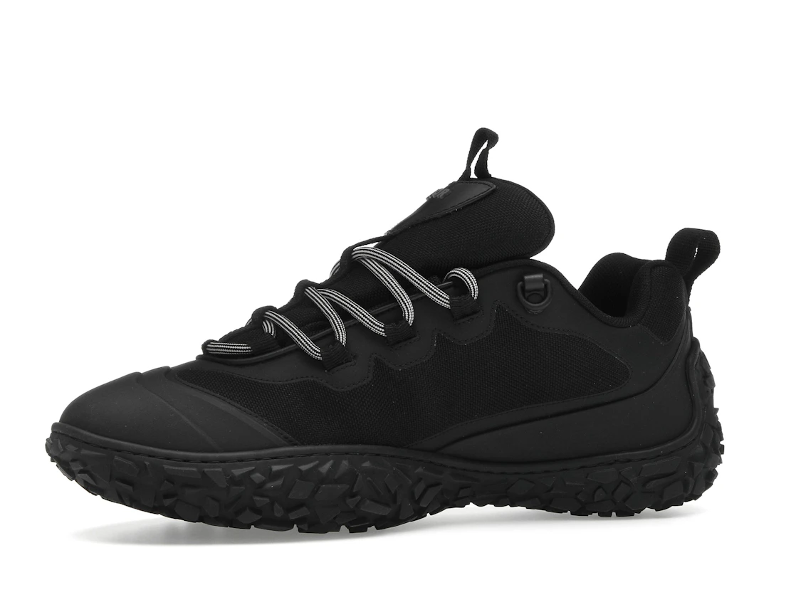 Vue 17 de Dior Diorizon Low Top Black