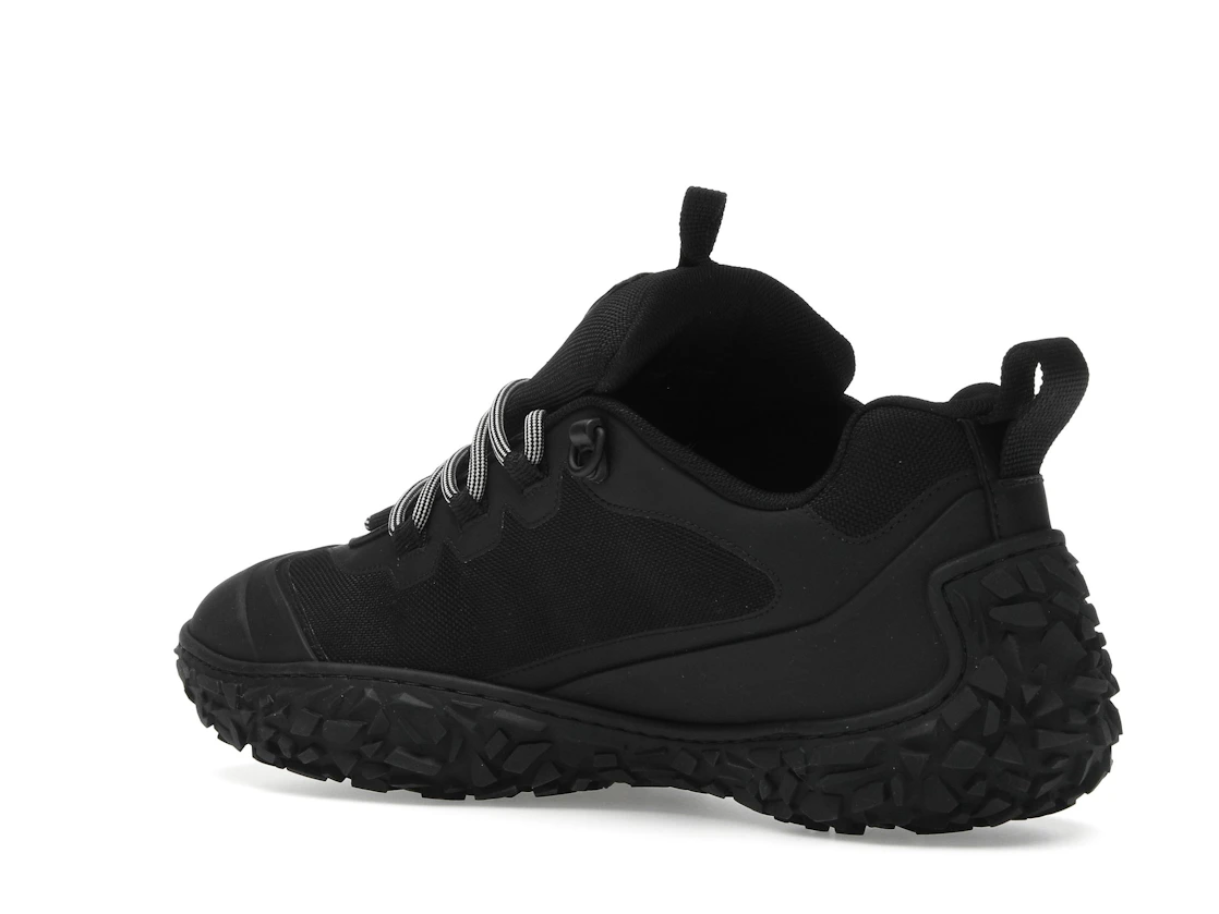 Vue 23 de Dior Diorizon Low Top Black