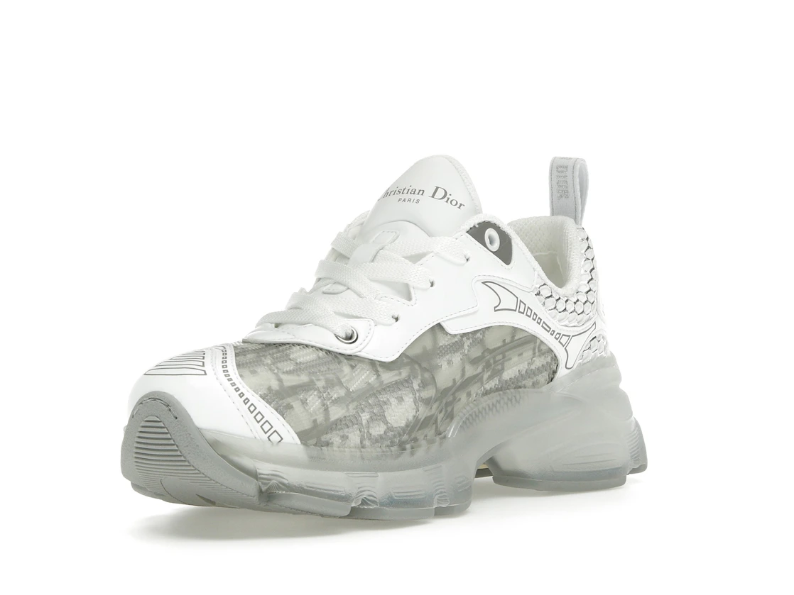 Vue 14 de Dior Vibe White Gray Dior Oblique 