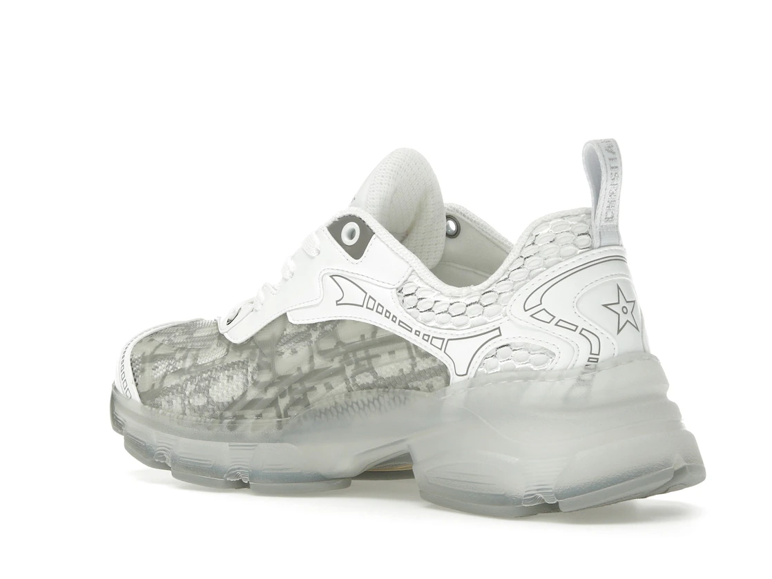 Vue 23 de Dior Vibe White Gray Dior Oblique 