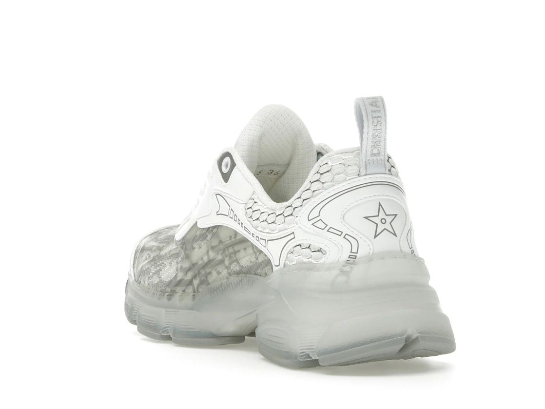 Vue 25 de Dior Vibe White Gray Dior Oblique 