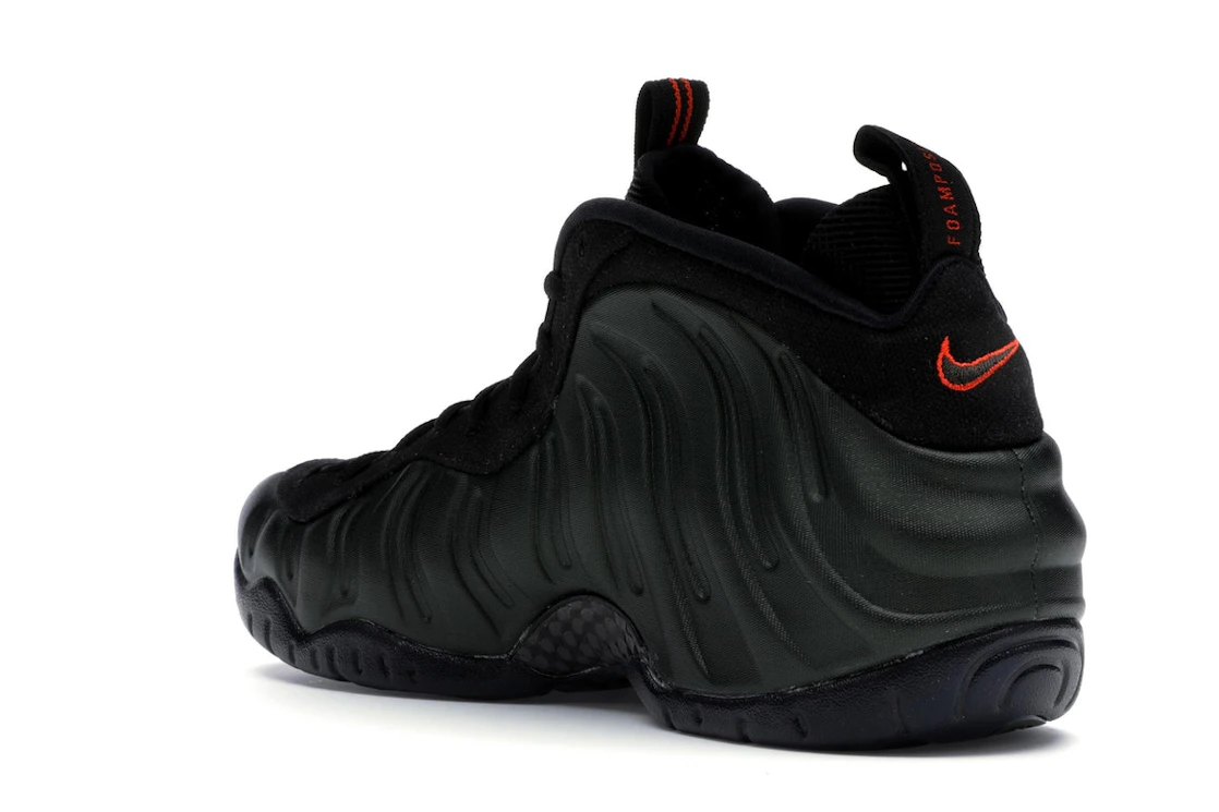 Vue 24 de Nike Air Foamposite Pro Sequoia