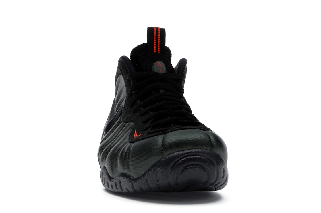Vue 9 de Nike Air Foamposite Pro Sequoia