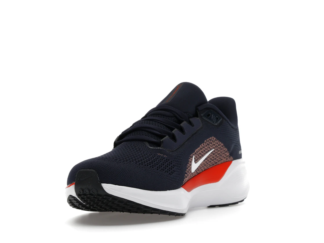 Vue 13 de Nike Air Zoom Pegasus 41 Chicago Bears (2025)