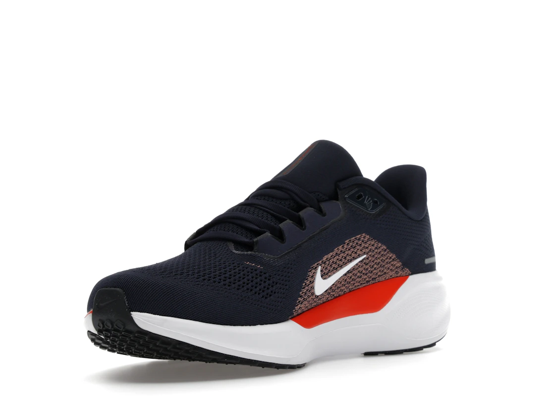 Vue 14 de Nike Air Zoom Pegasus 41 Chicago Bears (2025)