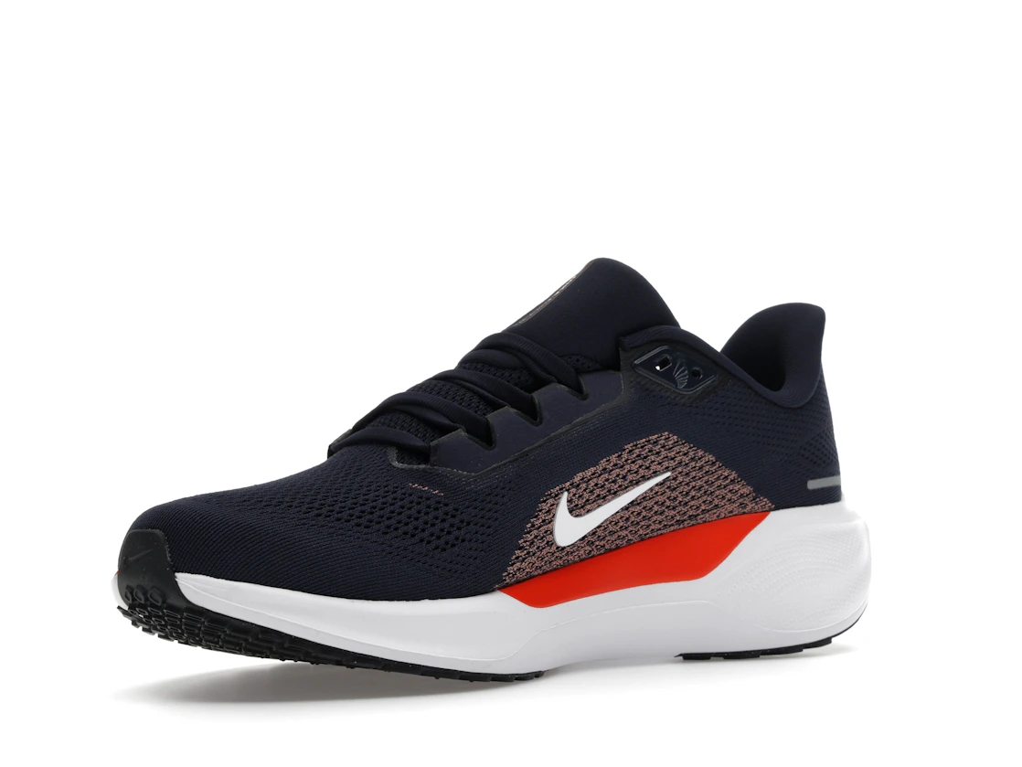 Vue 15 de Nike Air Zoom Pegasus 41 Chicago Bears (2025)
