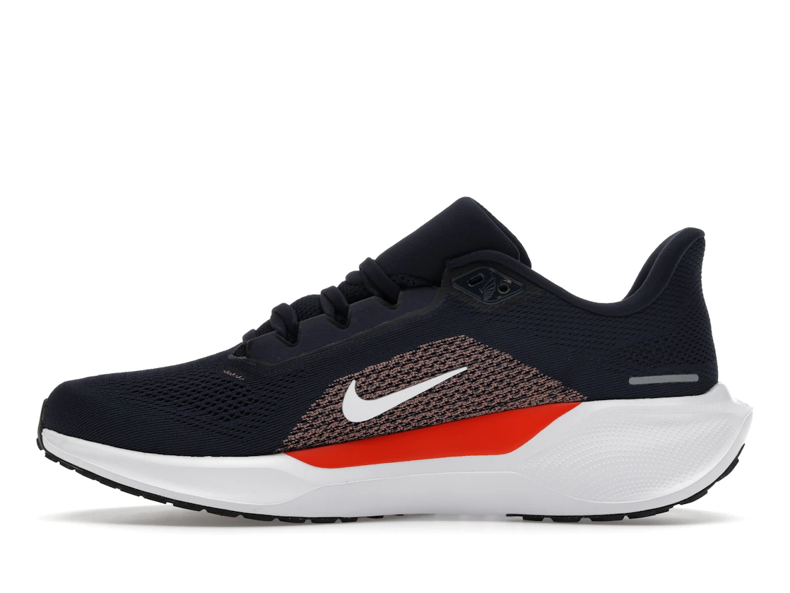 Vue 19 de Nike Air Zoom Pegasus 41 Chicago Bears (2025)