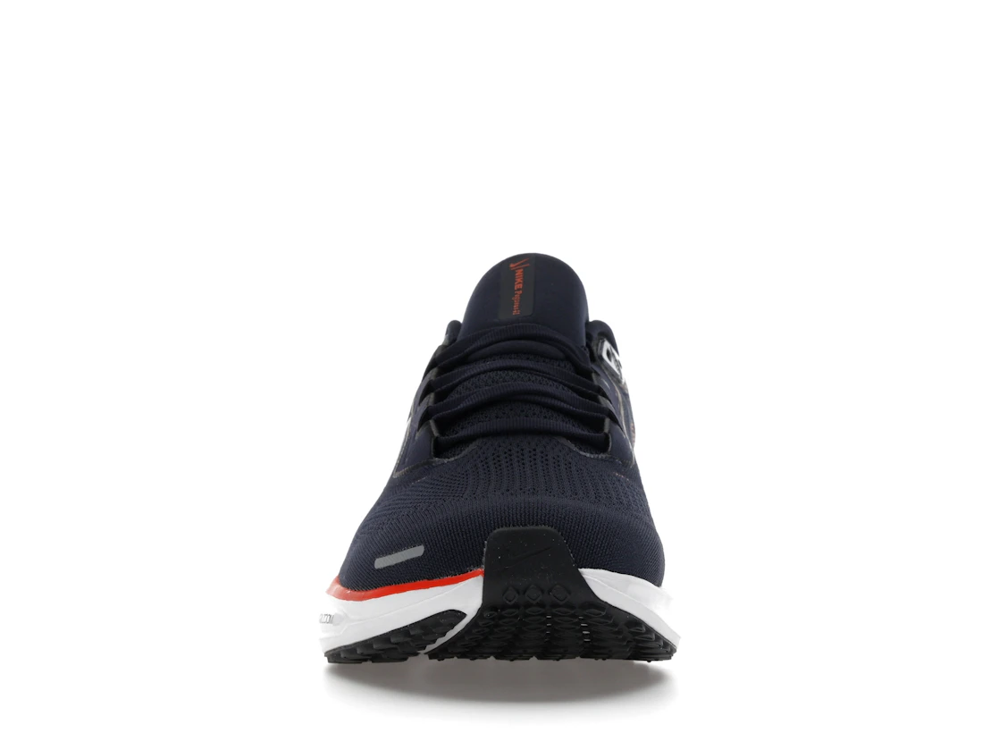 Vue 10 de Nike Air Zoom Pegasus 41 Chicago Bears (2025)