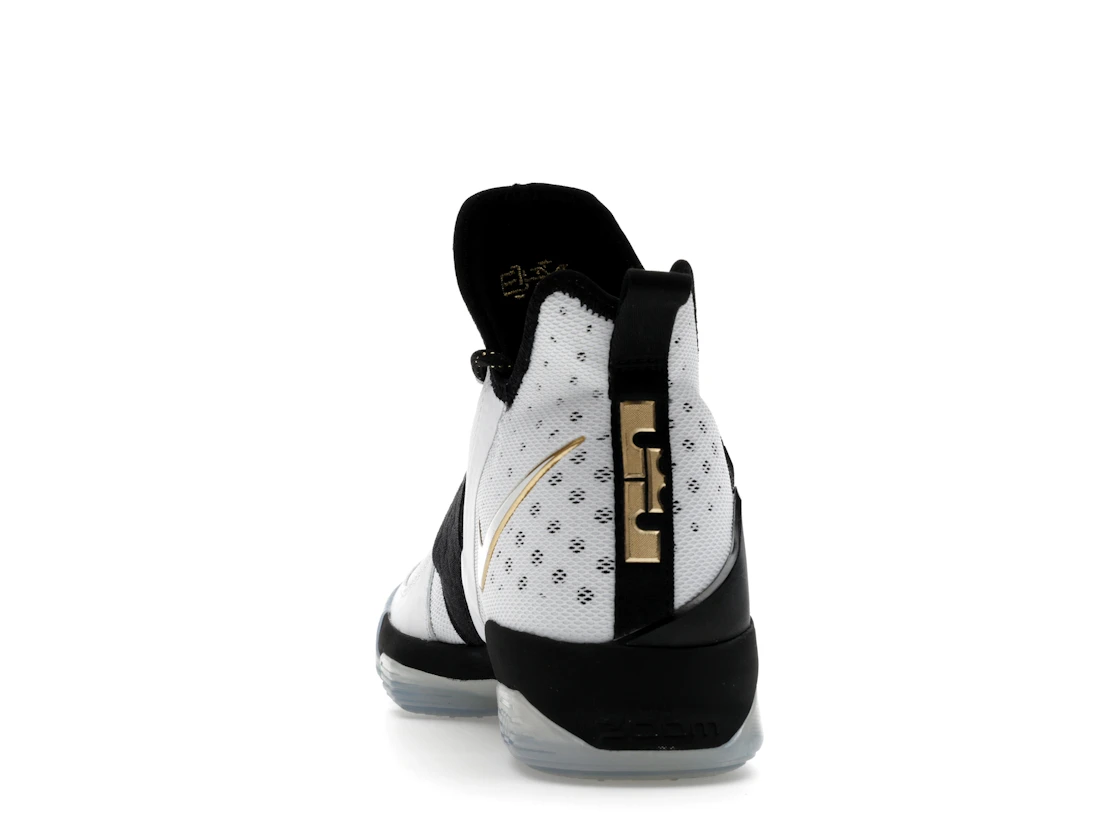 Vue 27 de Nike LeBron 14 BHM (2017)