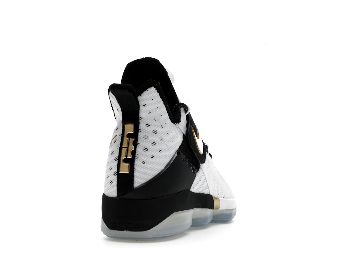 Vue 30 de Nike LeBron 14 BHM (2017)