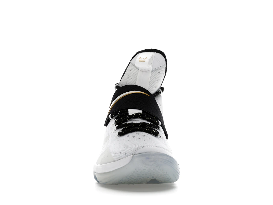 Vue 10 de Nike LeBron 14 BHM (2017)