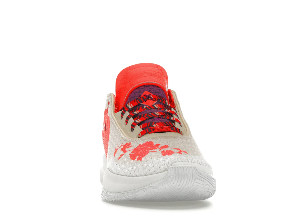 Vue 9 de Nike LeBron 20 PRM Mimi Plange Ceremony