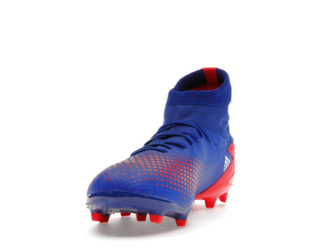 Vue 12 de adidas Predator 20.3 Team Royal Blue